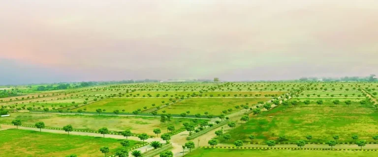 HoABL Dighi Plots