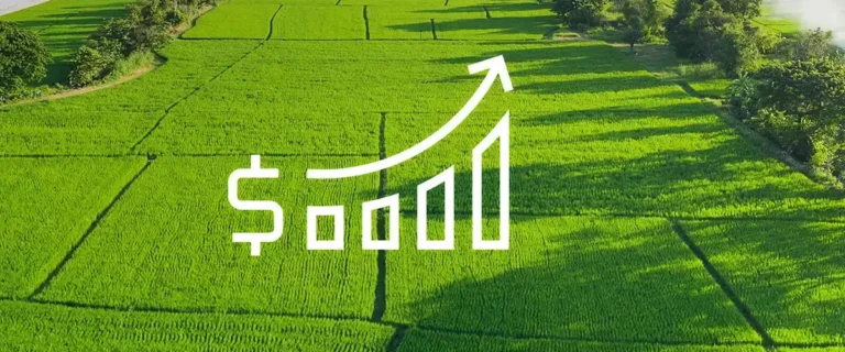 Raigad Real Estate