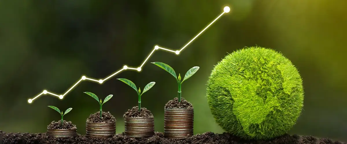 Amritsar Real Estate Trends